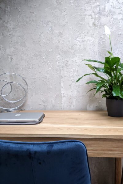 PXL_20221117_103547302-01